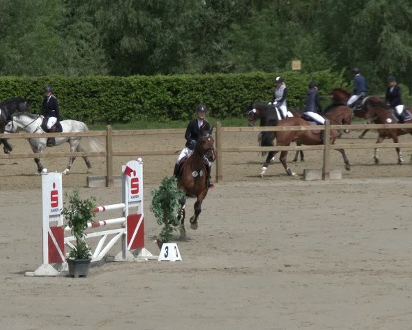 Reitturnier Kamen 2019