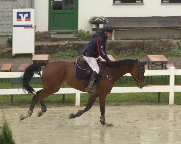 Reitturnier Leutkirch-Diepoldshofen 2019