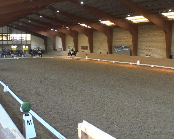 Reitturnier Kamen 2019
