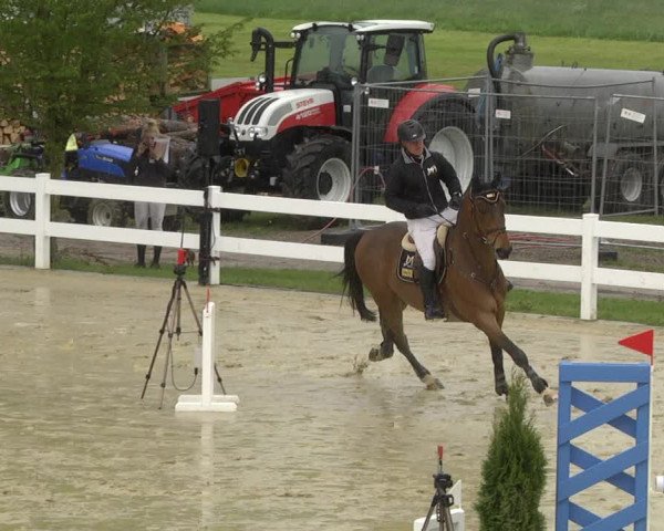 Reitturnier Leutkirch-Diepoldshofen 2019