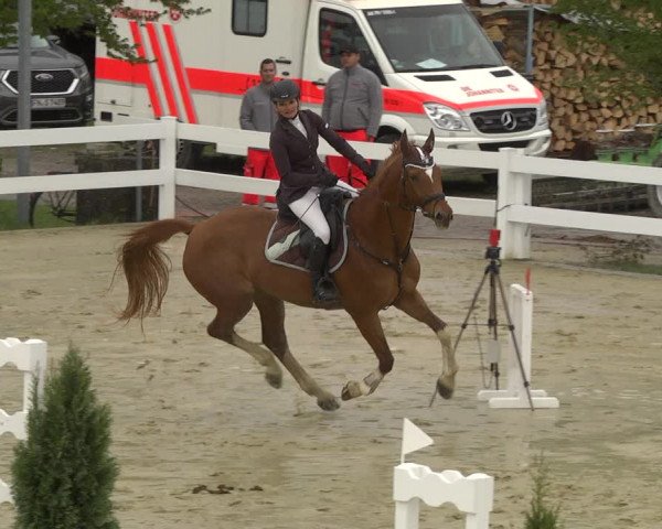 Reitturnier Leutkirch-Diepoldshofen 2019