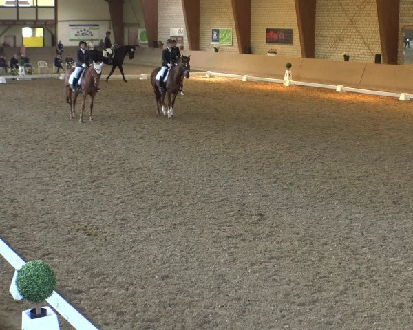 Reitturnier Kamen 2019