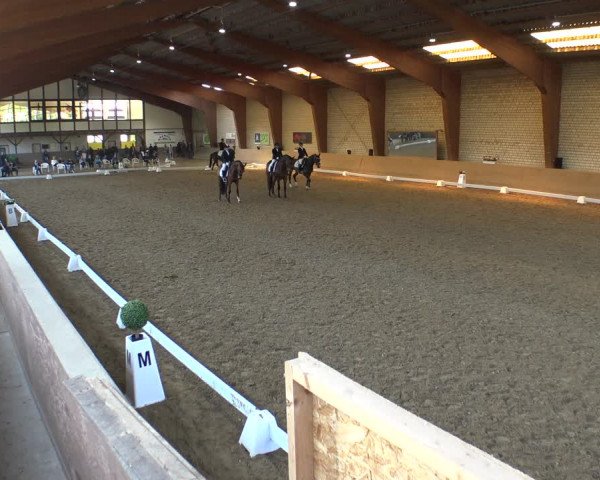 Reitturnier Kamen 2019