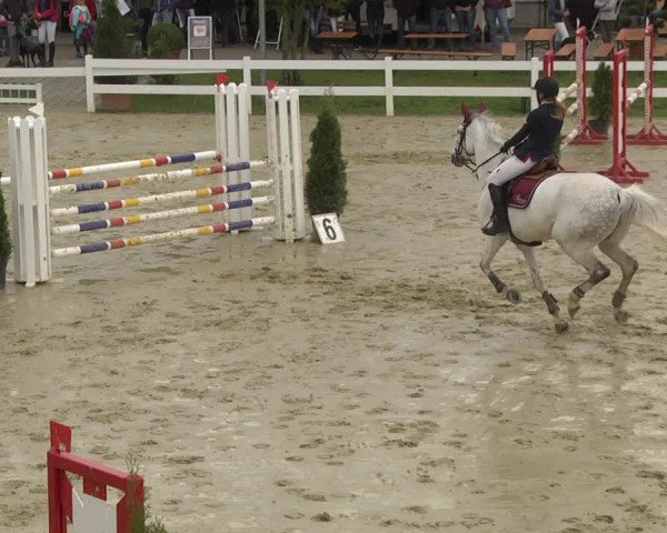 Reitturnier Leutkirch-Diepoldshofen 2019