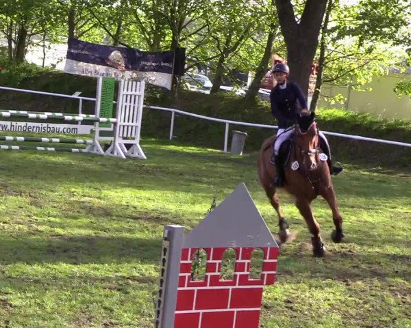 Reitturnier Meldorf 2019