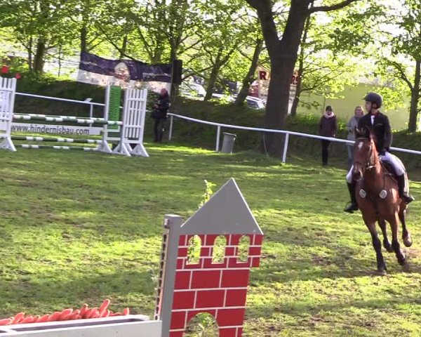 Reitturnier Meldorf 2019