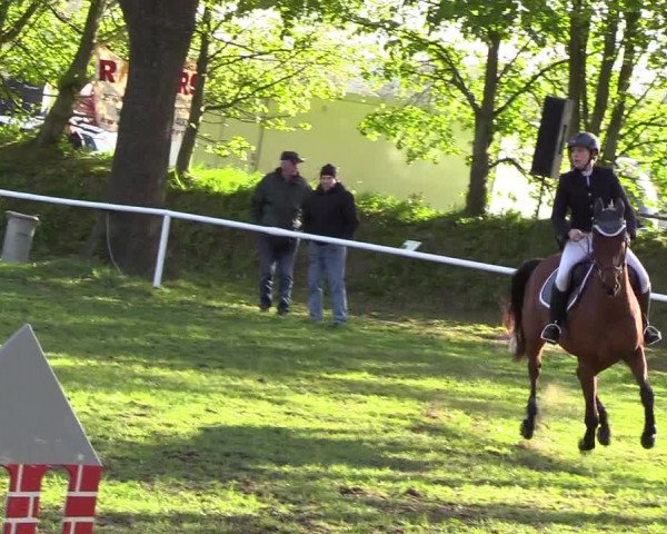 Reitturnier Meldorf 2019