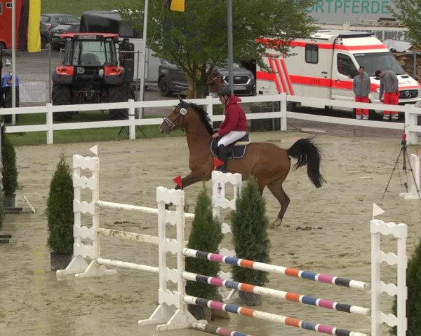 Reitturnier Leutkirch-Diepoldshofen 2019