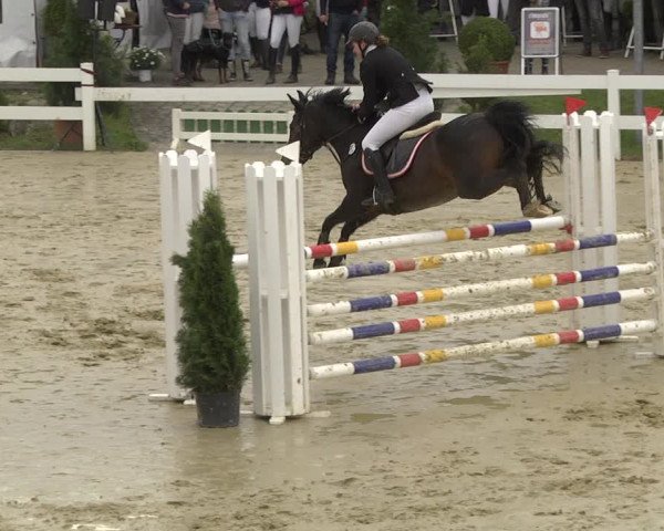 Reitturnier Leutkirch-Diepoldshofen 2019