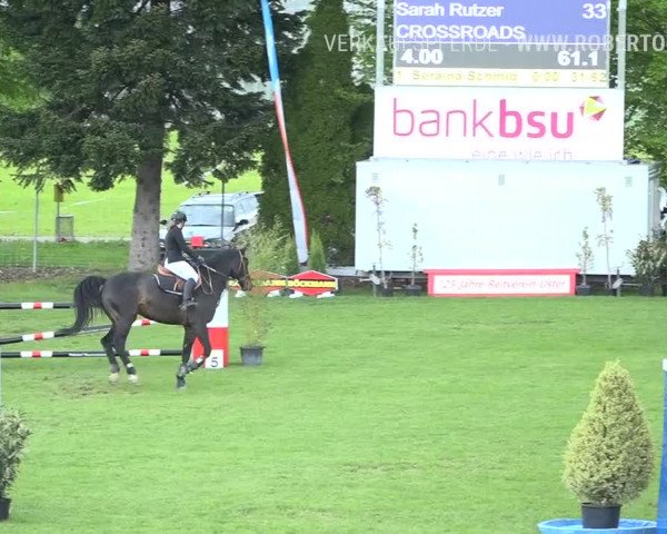 Reitturnier Uster 2019