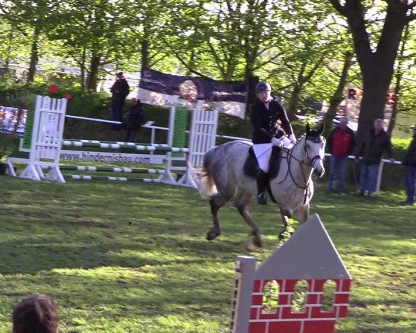Reitturnier Meldorf 2019