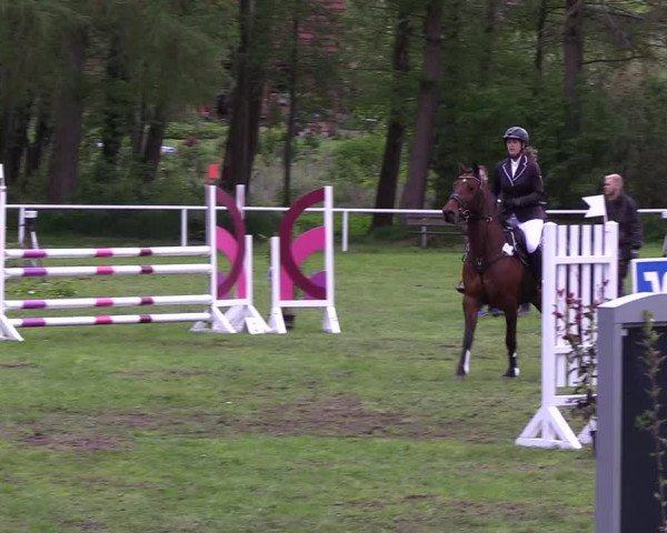 Reitturnier Meldorf 2019