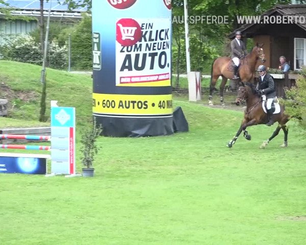 Reitturnier Uster 2019