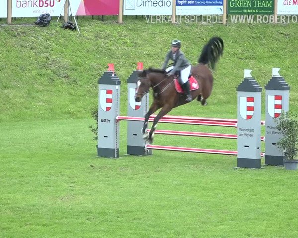 Reitturnier Uster 2019
