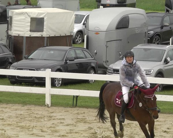 Reitturnier Leutkirch-Diepoldshofen 2019