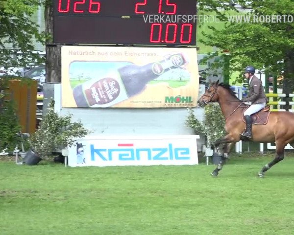 Reitturnier Uster 2019