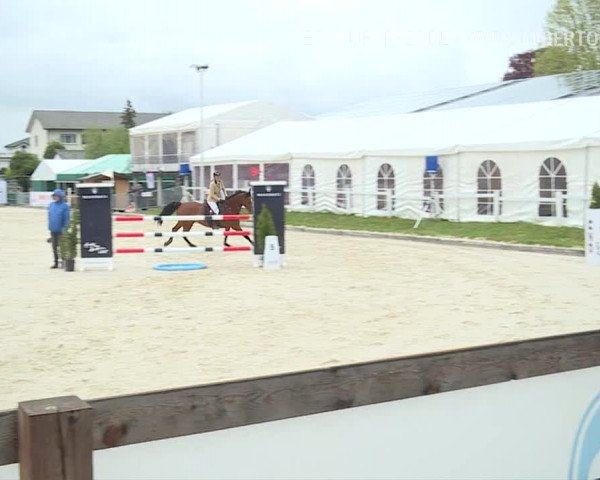 Reitturnier Horn 2019