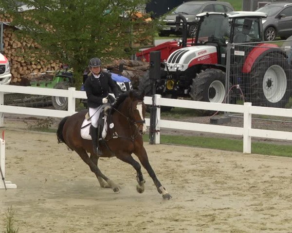 Reitturnier Leutkirch-Diepoldshofen 2019
