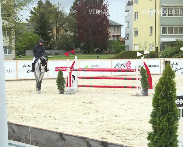 Reitturnier Horn 2019