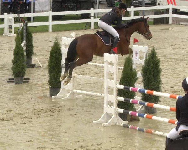 Reitturnier Leutkirch-Diepoldshofen 2019