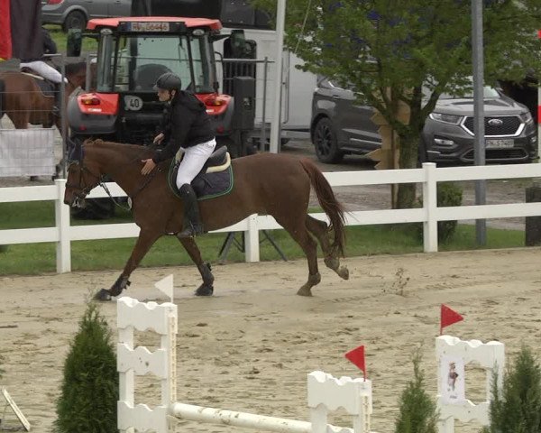 Reitturnier Leutkirch-Diepoldshofen 2019