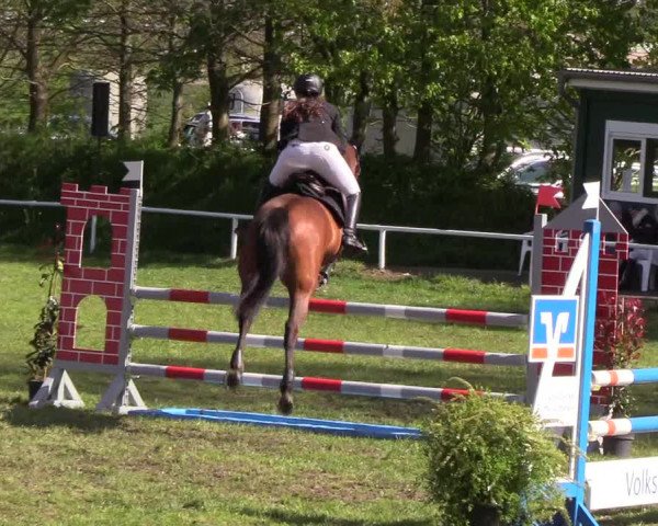 Reitturnier Meldorf 2019