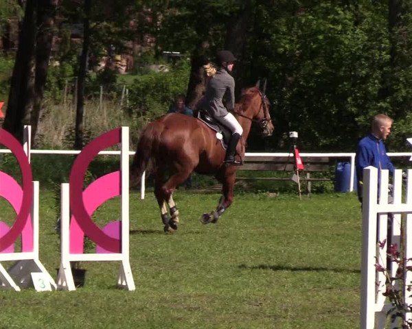 Reitturnier Meldorf 2019