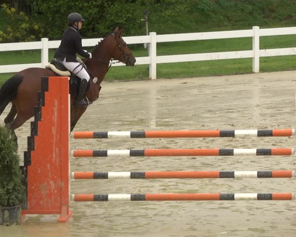 Reitturnier Leutkirch-Diepoldshofen 2019