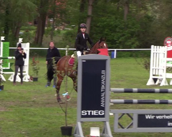 Reitturnier Meldorf 2019