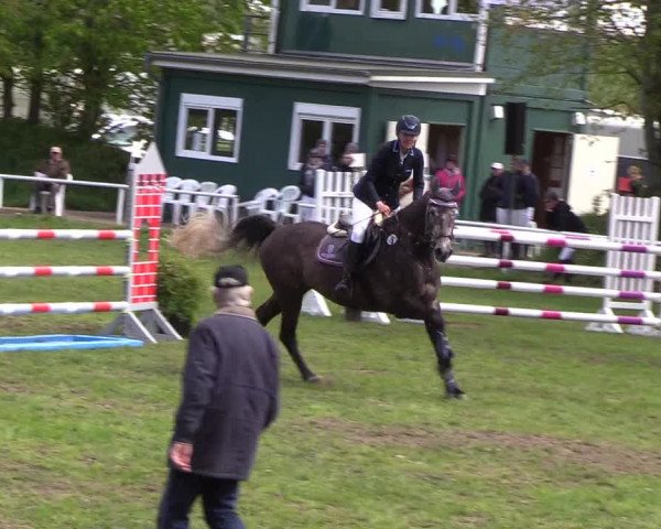 Reitturnier Meldorf 2019