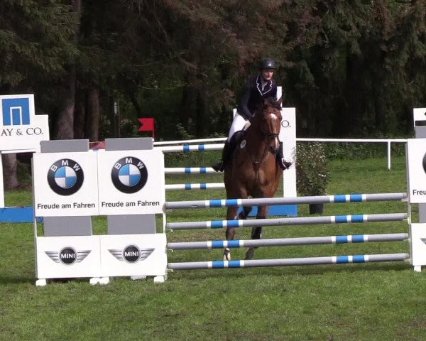 Reitturnier Meldorf 2019