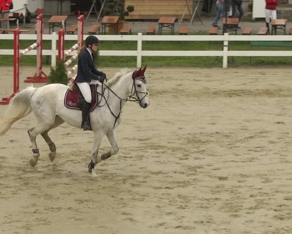 Reitturnier Leutkirch-Diepoldshofen 2019