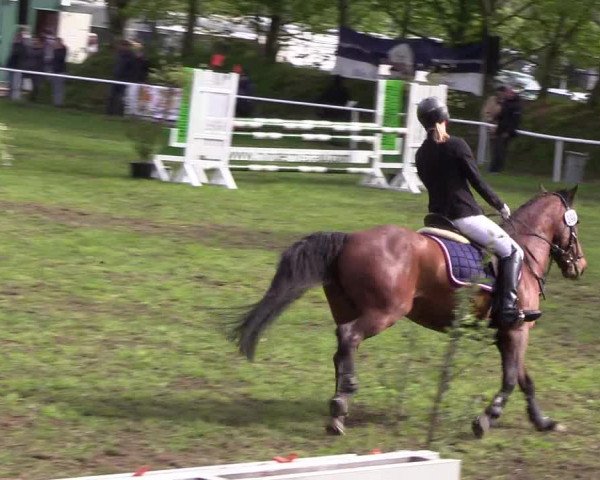 Reitturnier Meldorf 2019
