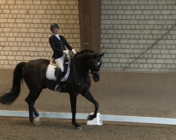 Reitturnier Kamen 2019