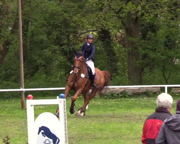 Reitturnier Meldorf 2019