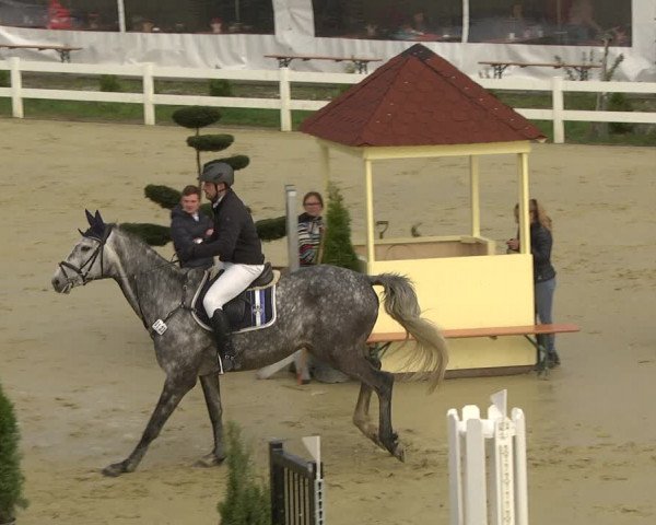 Reitturnier Leutkirch-Diepoldshofen 2019