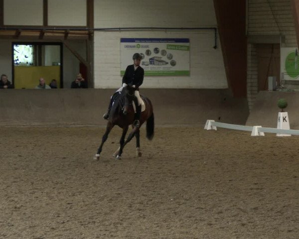 Reitturnier Kamen 2019