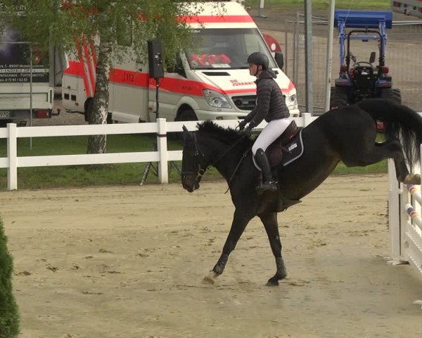Reitturnier Leutkirch-Diepoldshofen 2019