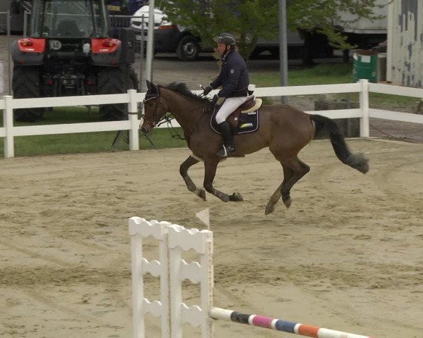 Reitturnier Leutkirch-Diepoldshofen 2019
