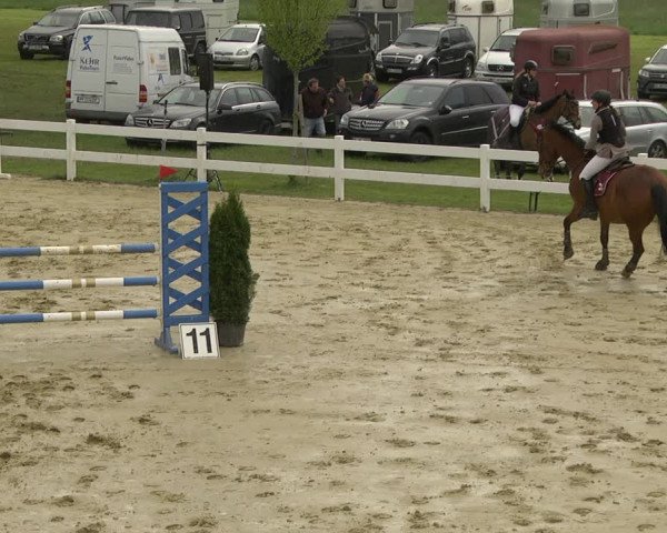 Reitturnier Leutkirch-Diepoldshofen 2019