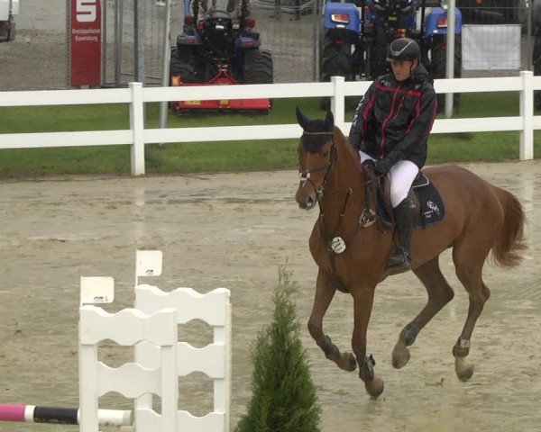 Reitturnier Leutkirch-Diepoldshofen 2019