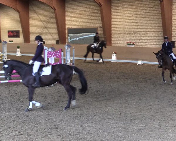 Reitturnier Kamen 2019