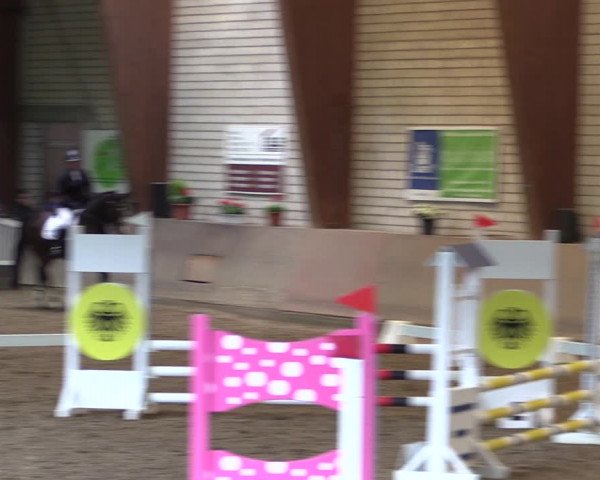 Reitturnier Kamen 2019