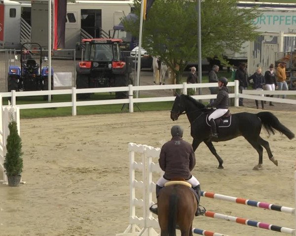 Reitturnier Leutkirch-Diepoldshofen 2019