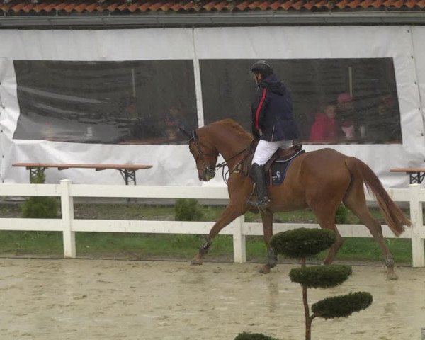 Reitturnier Leutkirch-Diepoldshofen 2019