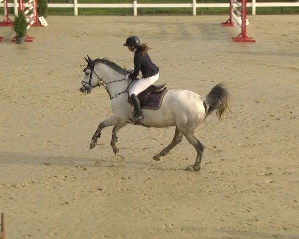 Reitturnier Leutkirch-Diepoldshofen 2019