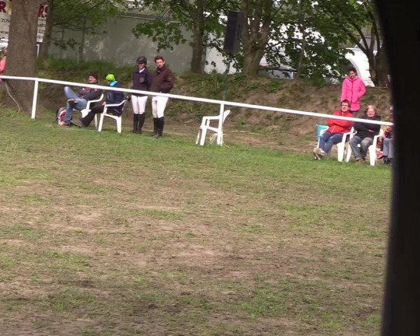 Reitturnier Meldorf 2019