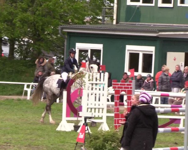 Reitturnier Meldorf 2019
