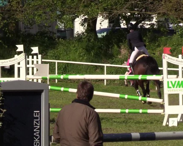 Reitturnier Meldorf 2019