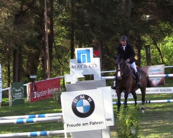 Reitturnier Meldorf 2019